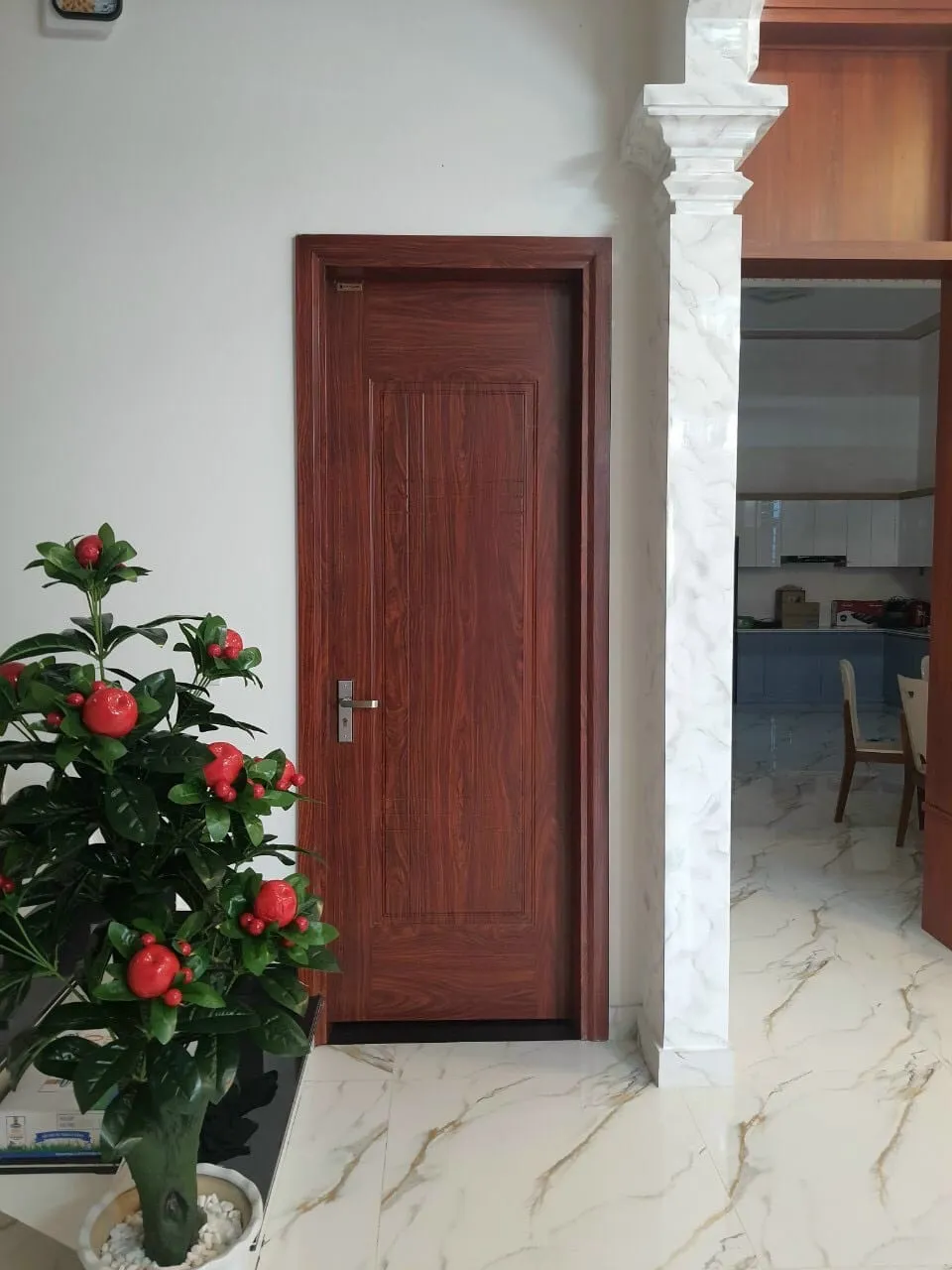 cửa thép vân gỗ 1 cánh đơn tại gò vấp